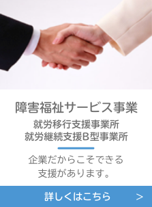 障害福祉サービス事業,就労移行支援事業所,就労継続支援B型事業所